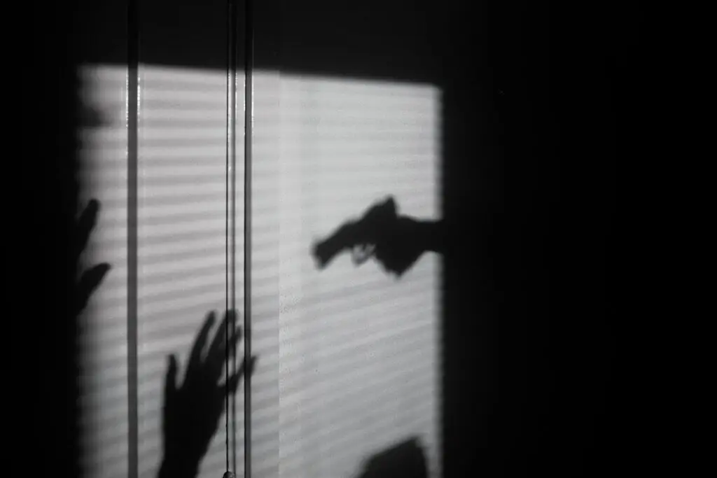 a shadow on the wall of a gun