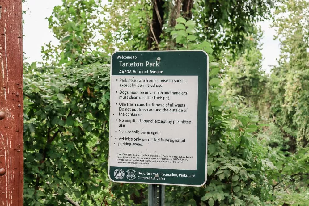 Vigilance and Gut Instincts: How One Woman Escaped an Abduction at Tarleton Park