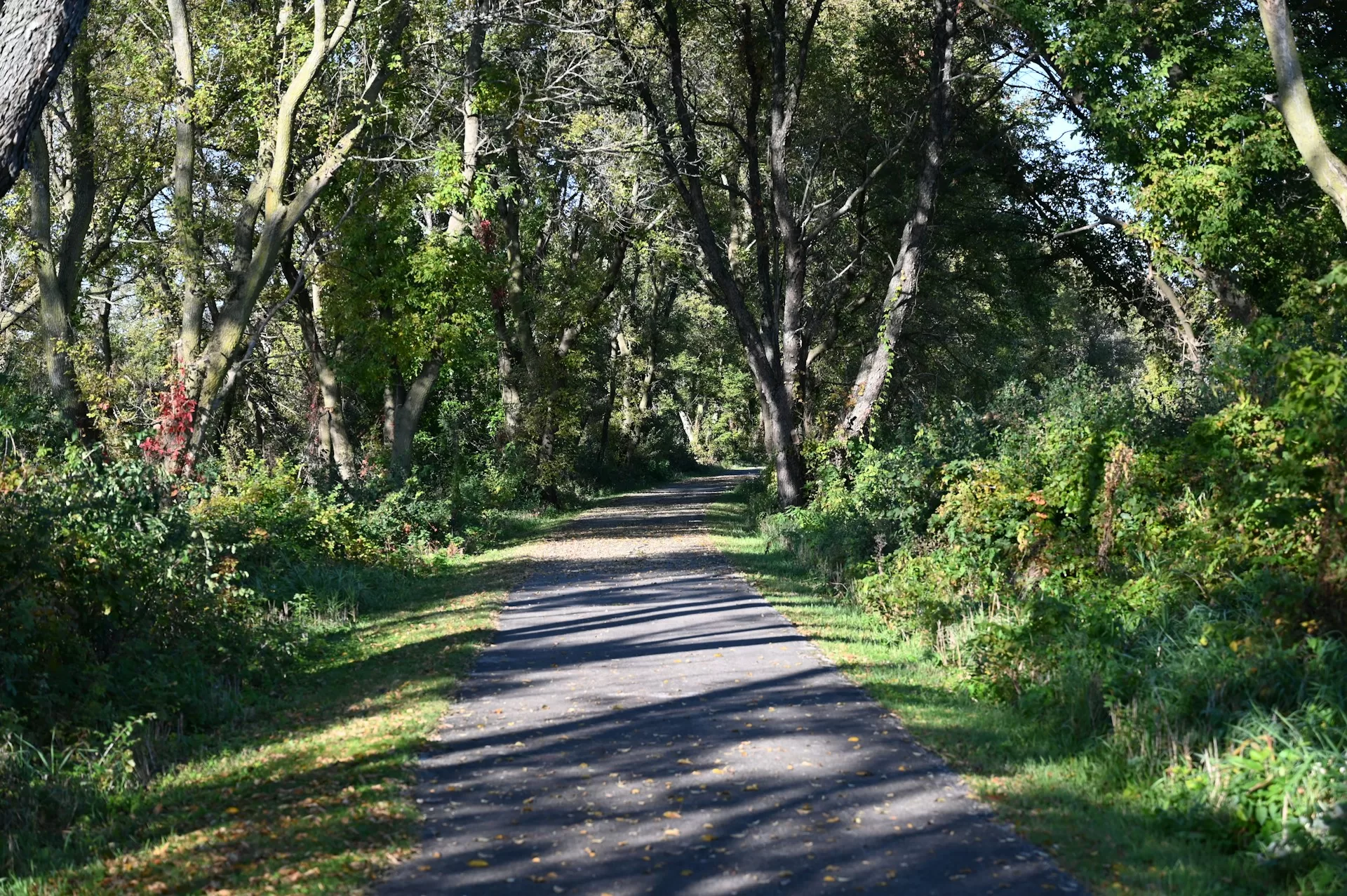 Woman Fights Off Armed Attacker At A Local Park After He Drags Her Into The Woods