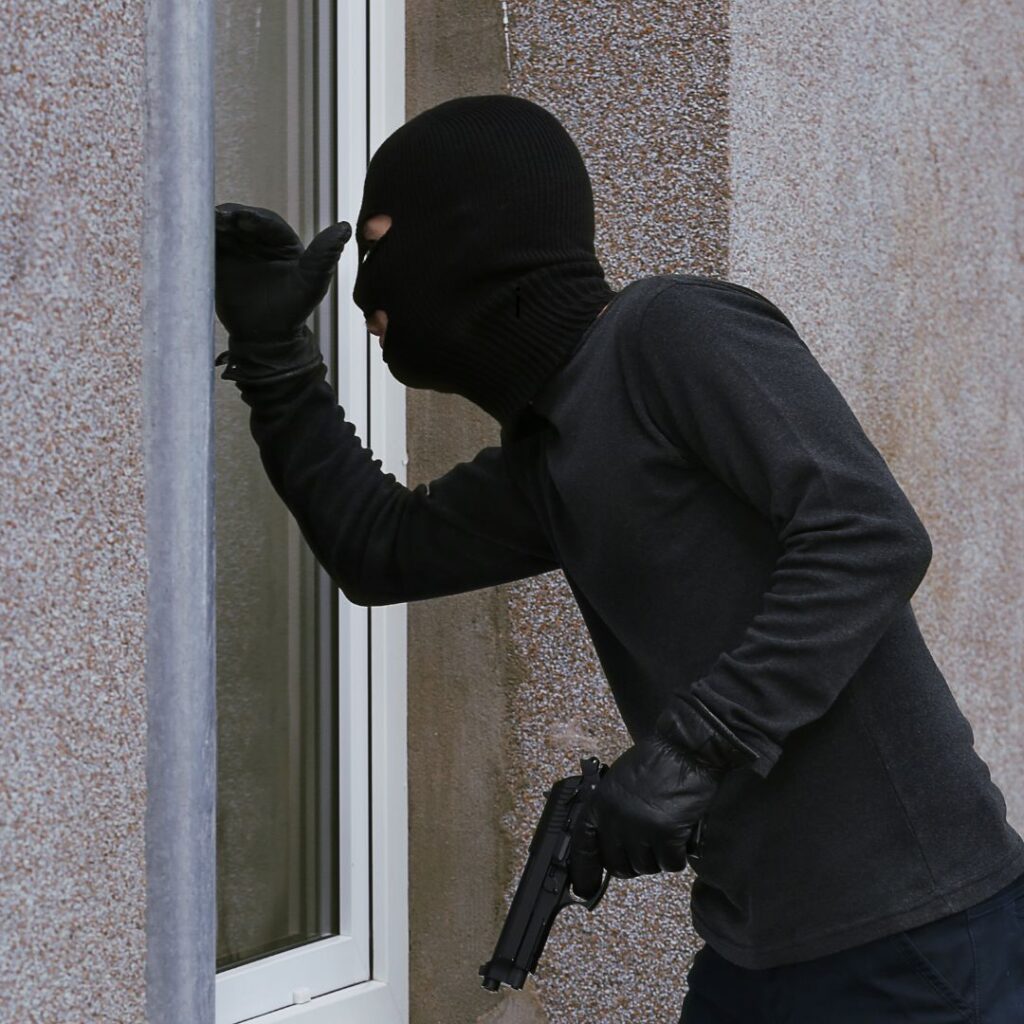 woman shoots armed intruder